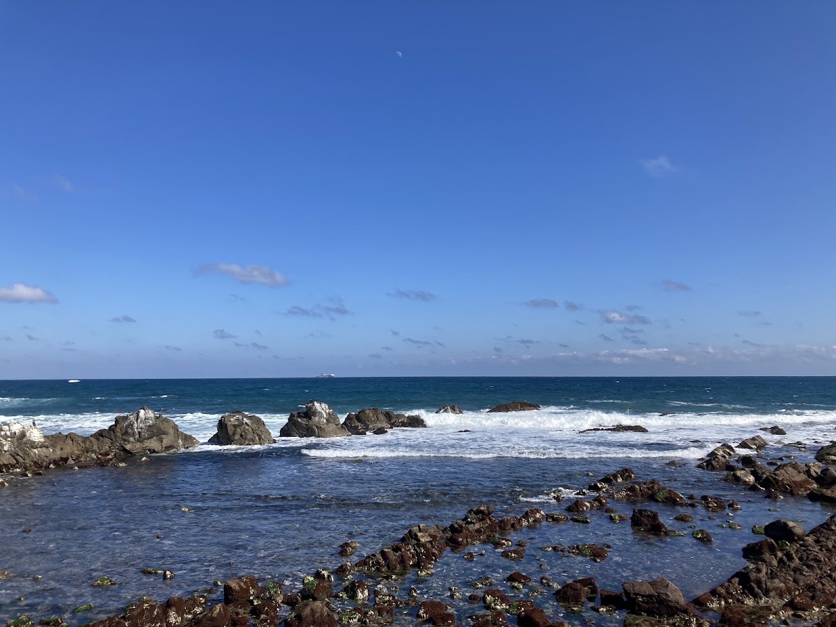 磯崎海岸