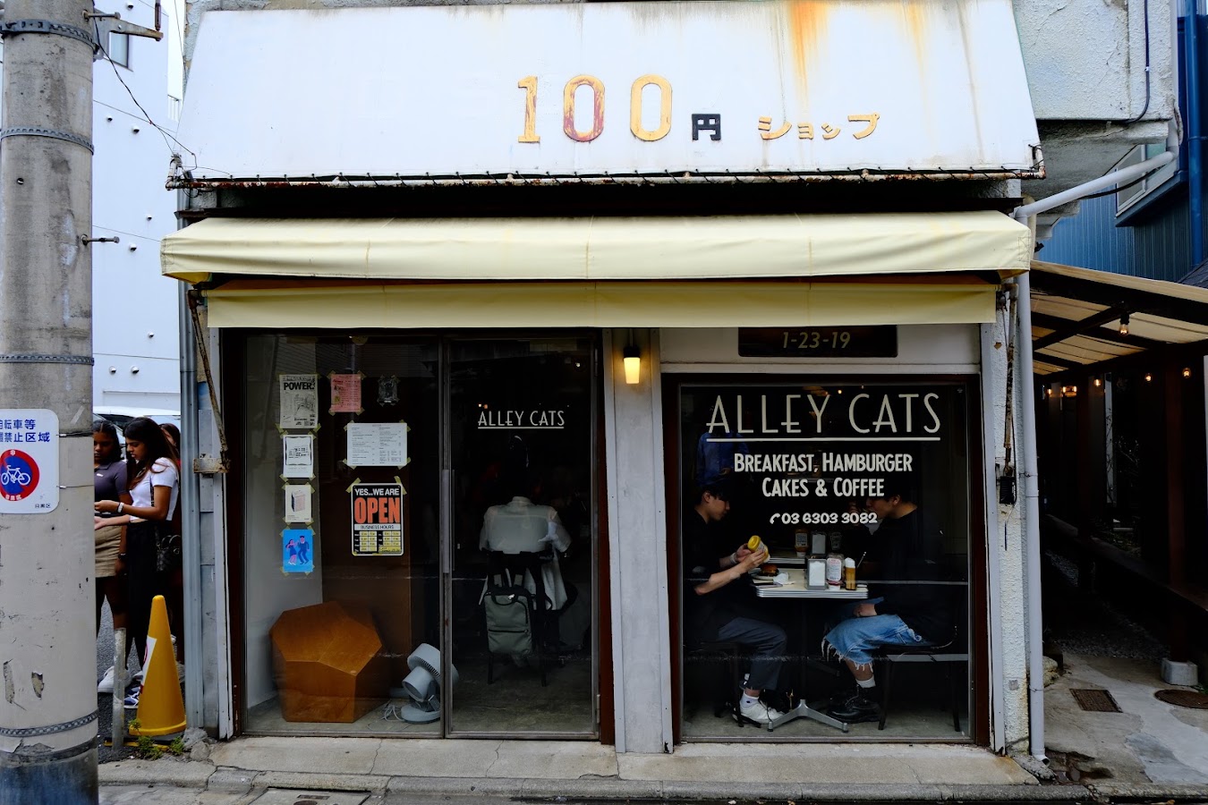 Alley Cats