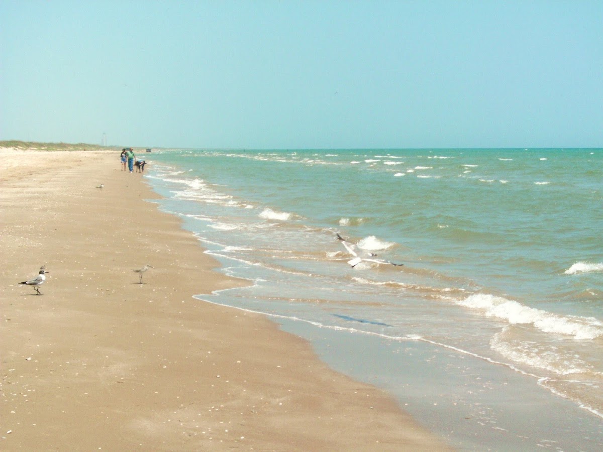 Boca Chica Wildlife Refuge