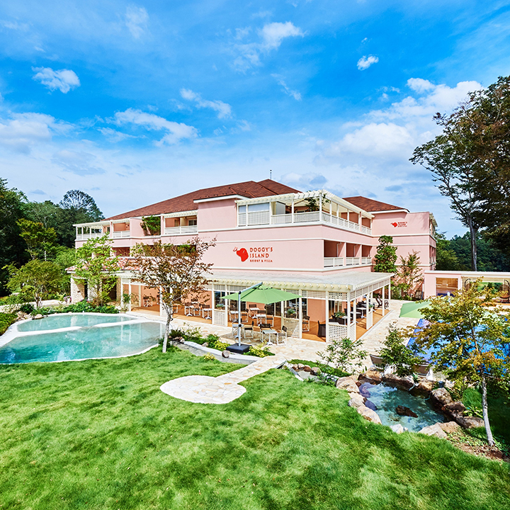 Doggy's Island Resort & Villa in Koyaru