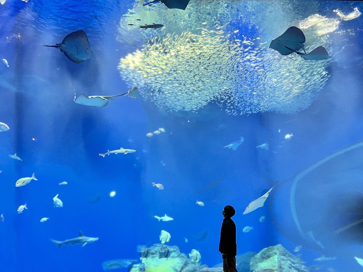 アクアワールド茨城県大洗水族館