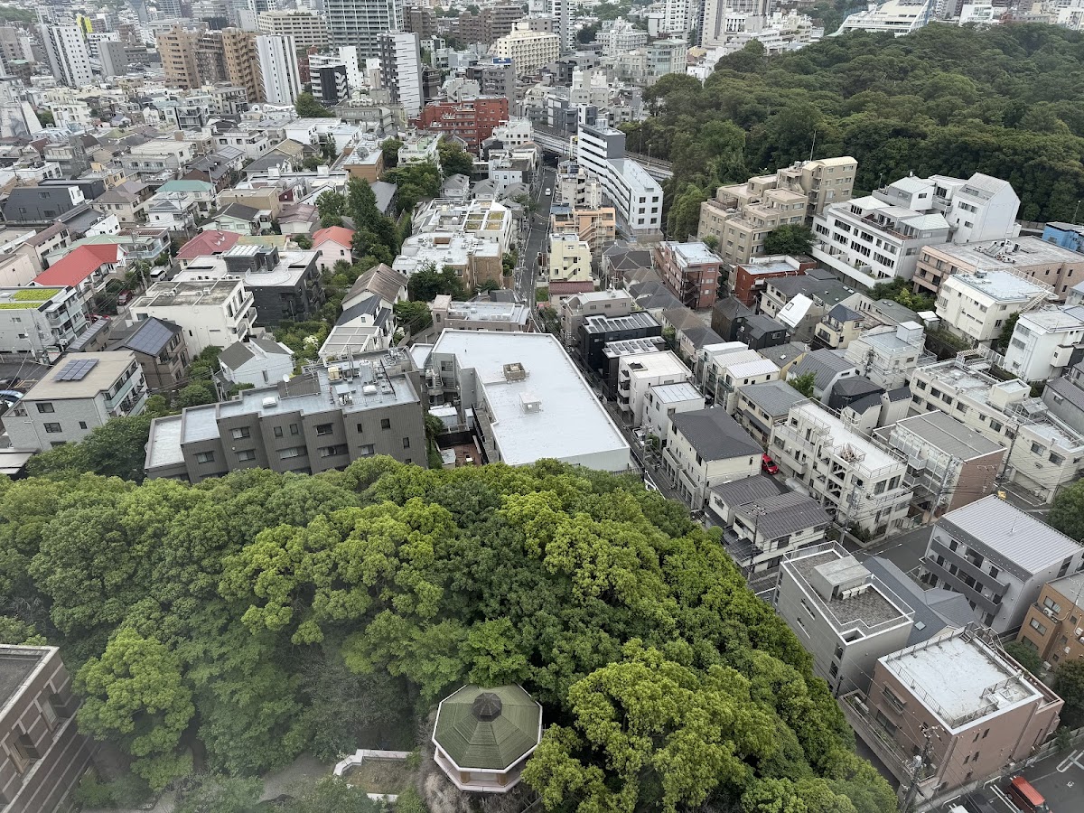 东京威斯汀酒店