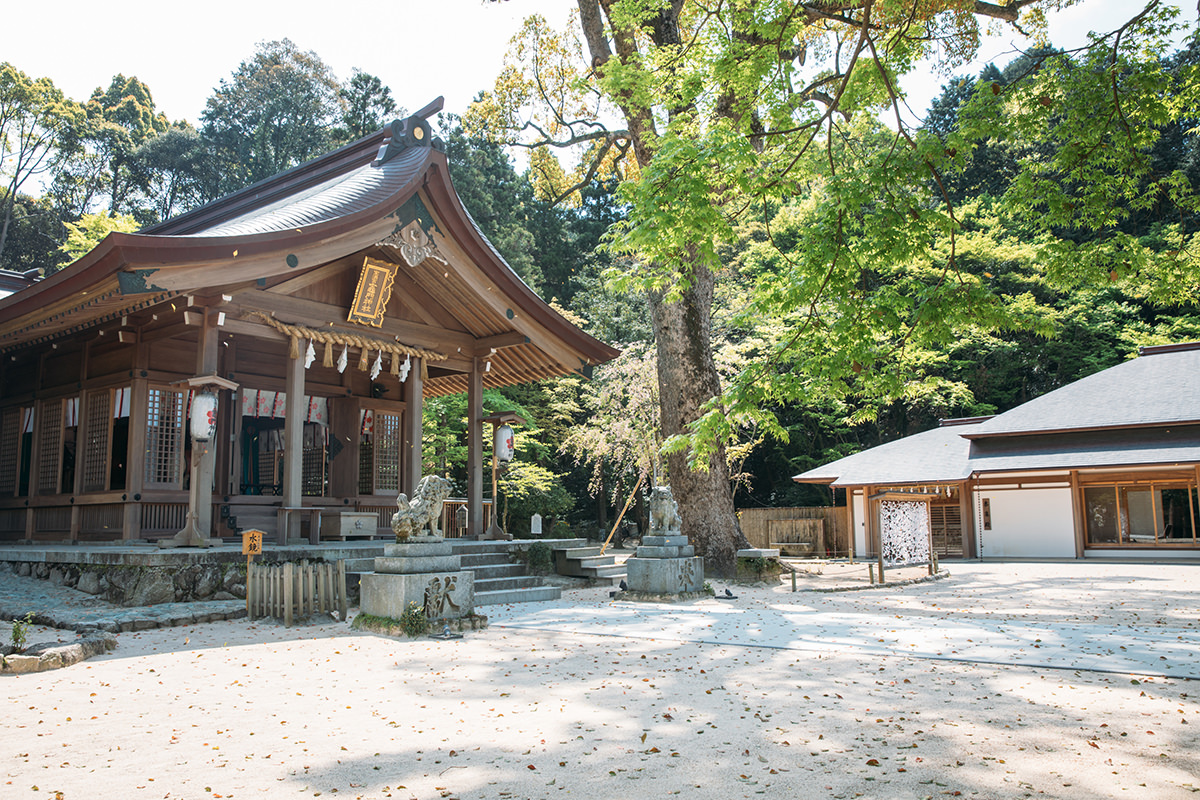 宝満宮 竈門神社