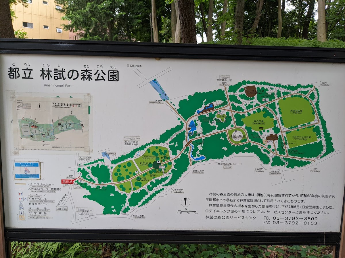 林試の森公園