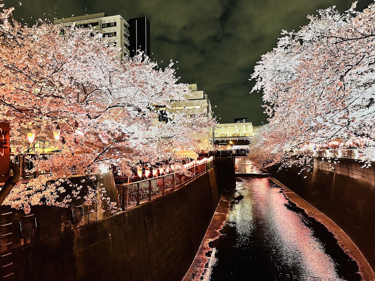 Naka-Meguro Park
